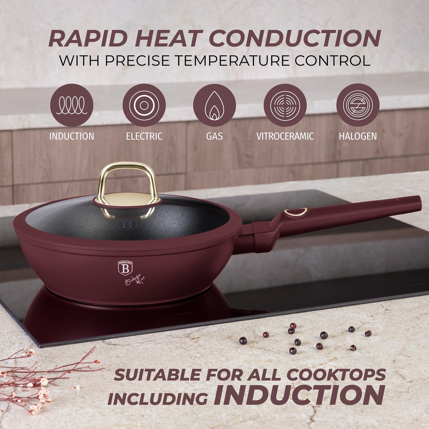Berlingr Haus 24cm Titan Pro Non-Stick Coating Deep Frypan - Leonardo
