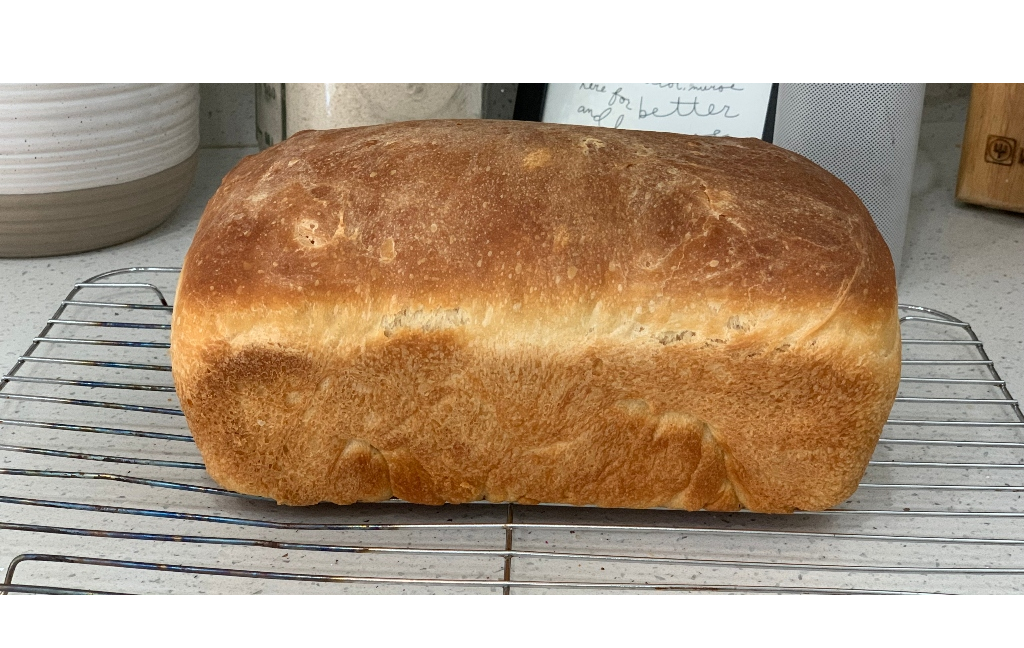 Berlinger Haus 32cm Loaf Pan – Burgundy Metallic
