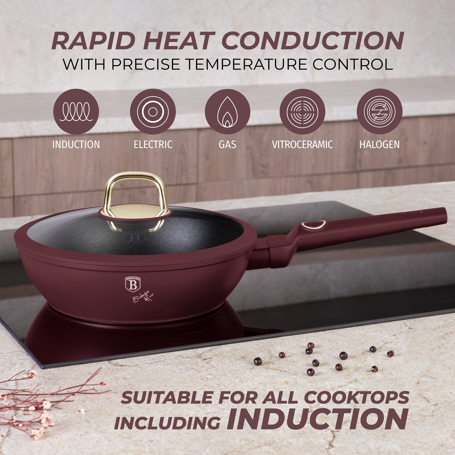 Berlingr Haus 24cm Titan Pro Non-Stick Coating Deep Frypan - Leonardo