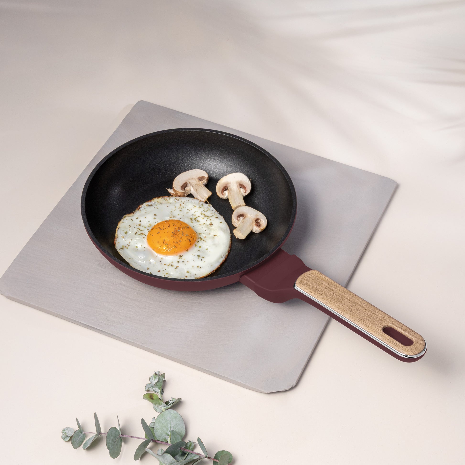 Berlinger Haus 20cm Titan Pro Non-Stick Coating Frypan – Leonardo Nordic