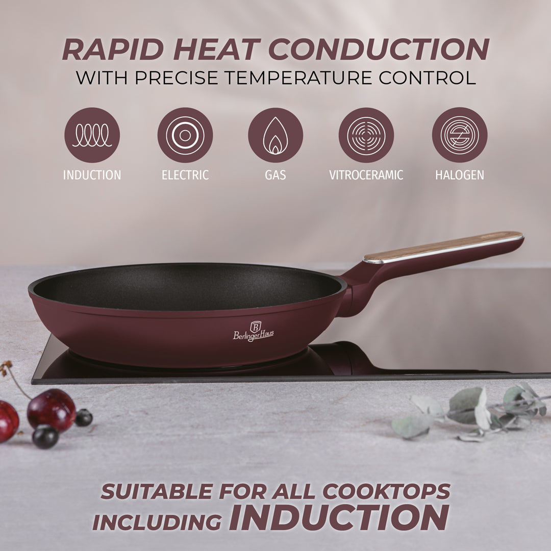 Berlinger Haus 24cm Titan Pro Non-Stick Coating Frypan – Leonardo Nordic