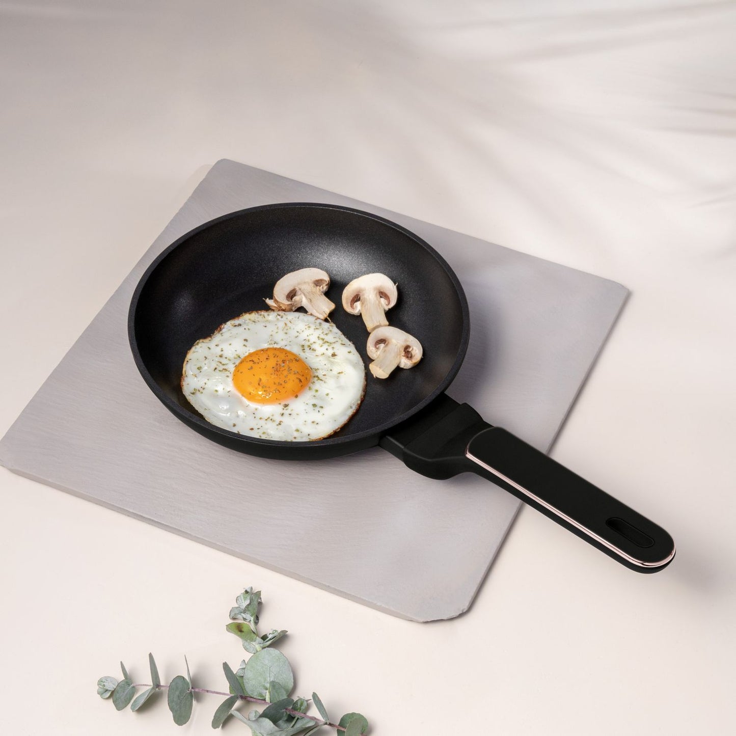 Berlinger Haus 20cm Titan Pro Non-Stick Coating Frypan - Black Rose